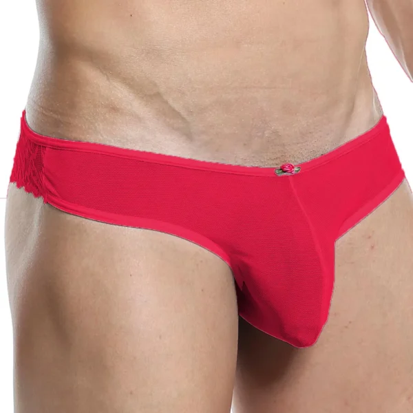 Men's Sexy Bikini Seductive Underwear
