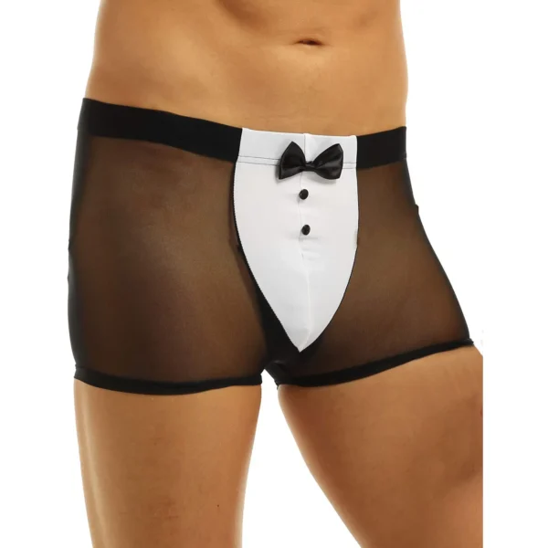 Sexy Men's Seductive Costume Cosplay Underwear - Image 2