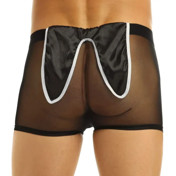 Sexy Men's Seductive Costume Cosplay Underwear - Image 3