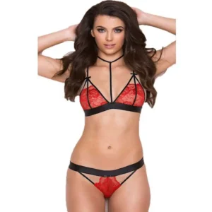 Women Sexy Lace Hollow Design Bra and Panty Set