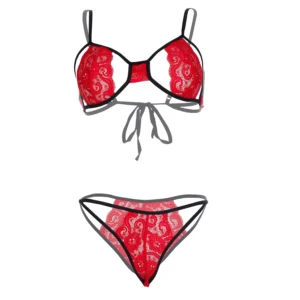 Women's Luxe Lace Design Red Bra and Panty Set