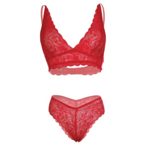 Women's Bridal Lace Red Bra and Panty Set