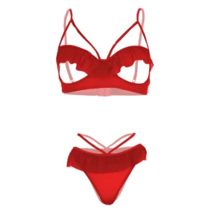 Lace Open Sling Women Red Bra and Panty Set