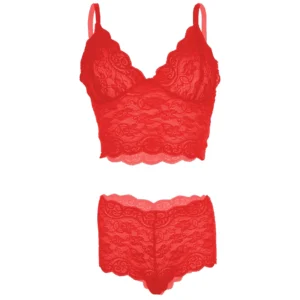 Women's Lace Red Bra and Panty Lingerie Set