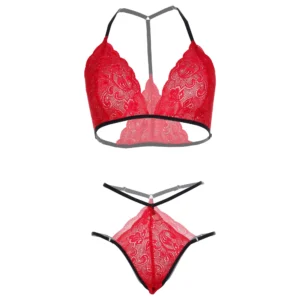 Women embroidered red bra & multi strings panty