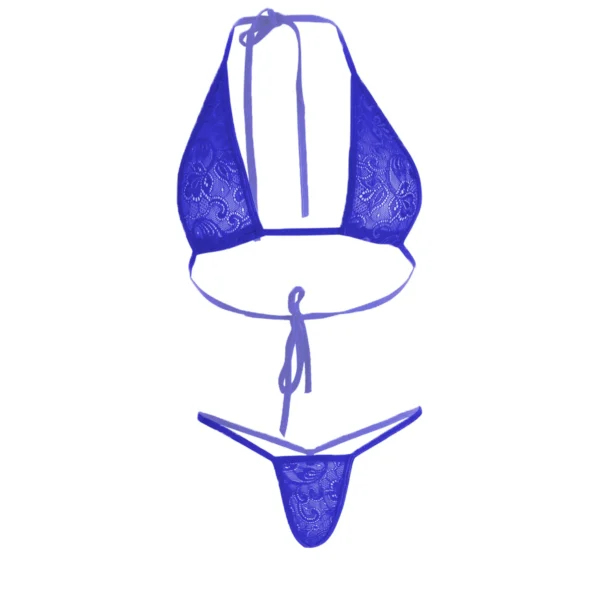 Women's Lace Bikini Purple Bra and Panty Set