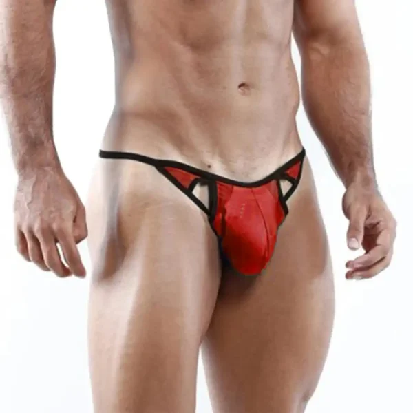 Men's Seductive Thong Underwear - Image 4