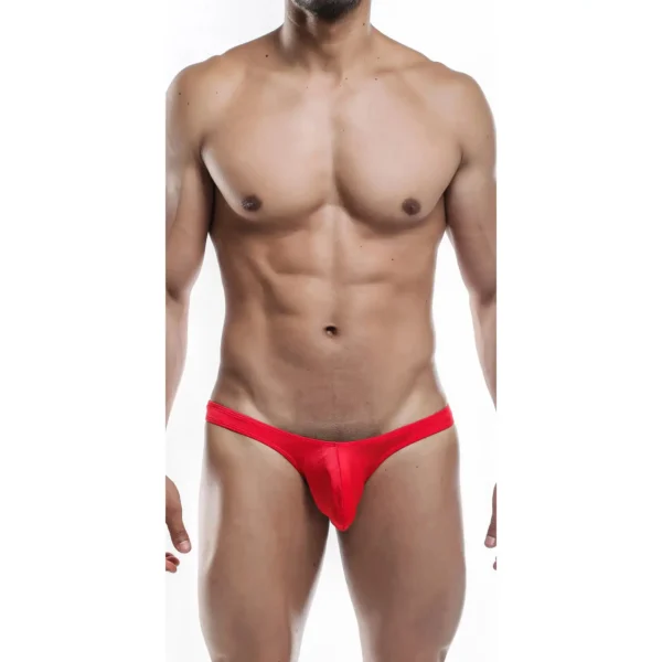 Sexy Men's Seductive Thong Underwear - Image 3