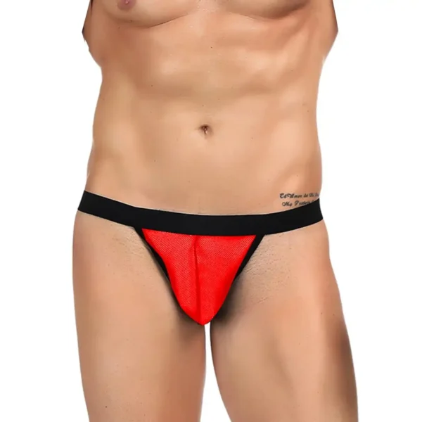 Sexy Men's G-String Underwear - Image 3