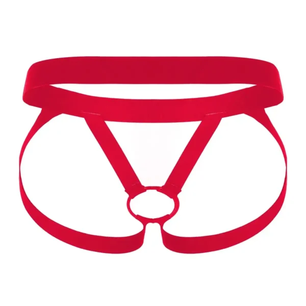 Sexy Men’s Harness Seductive Underwear - Image 4