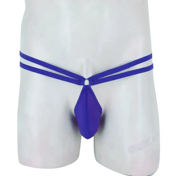 Sexy Men's Seductive Thong Underwear - Image 3