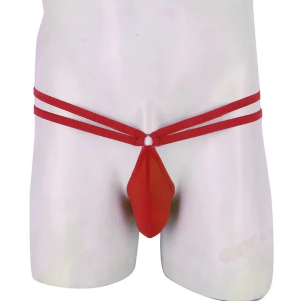Sexy Men's Seductive Thong Underwear - Image 4