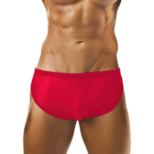 Sexy Men's Seductive Brief Underwear - Image 3