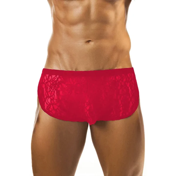 Sexy Men's Seductive Brief Underwear - Image 3