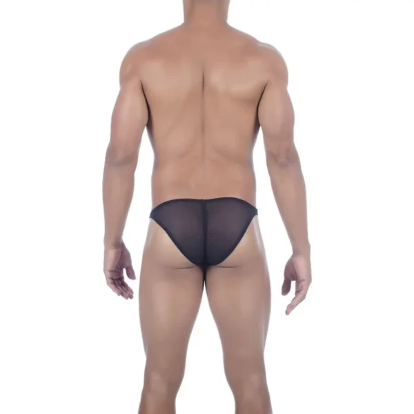 Sexy Men's Seductive Brief Underwear - Image 2