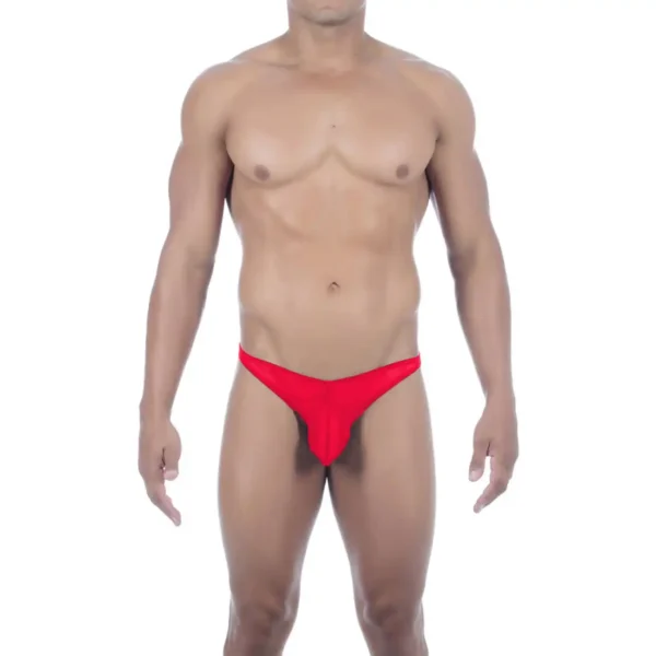Sexy Men's Seductive Brief Underwear - Image 3