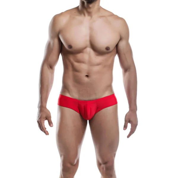 Sexy Men's Seductive Brief Underwear - Image 3