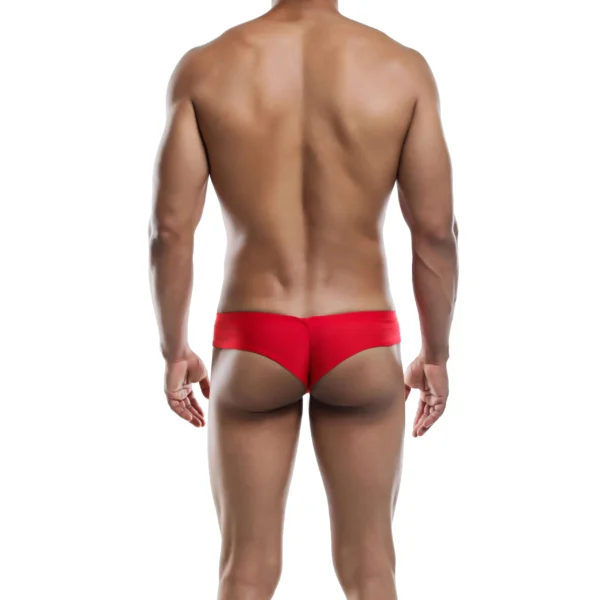 Sexy Men's Seductive Brief Underwear - Image 4