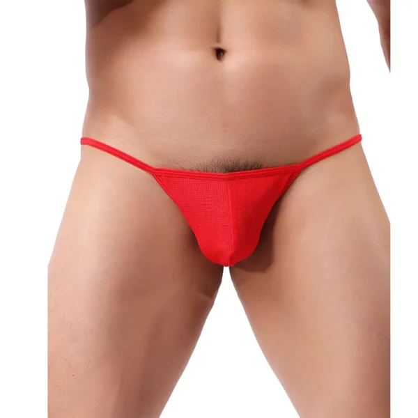 Sexy Men's Bikini Underwear for Seductive Style - Image 4