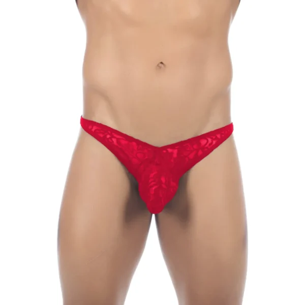 Sexy Men's Seductive Brief Underwear - Image 3