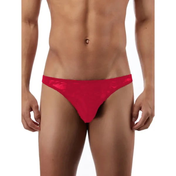 Sexy Men's Seductive Brief Underwear - Image 3