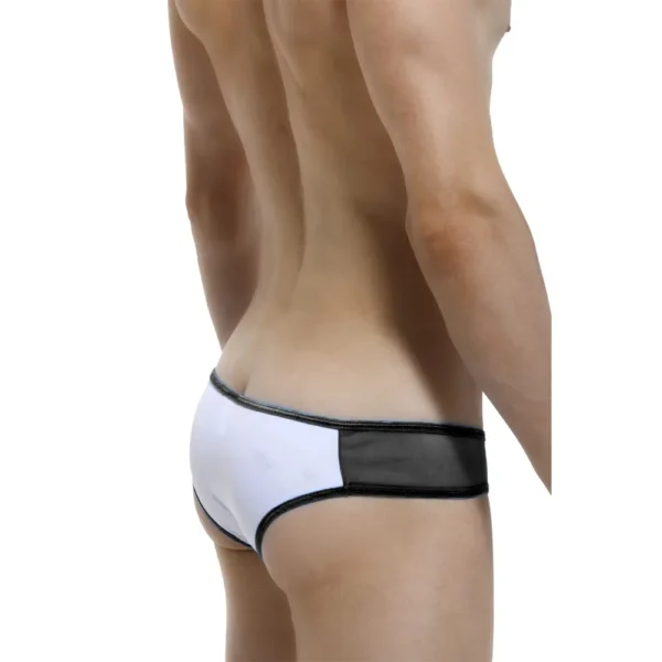 Sexy Men's Seductive Brief Underwear - Image 2