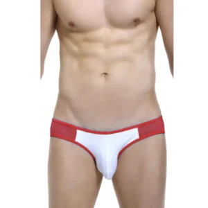 Men's Multi Color Brief Underwear