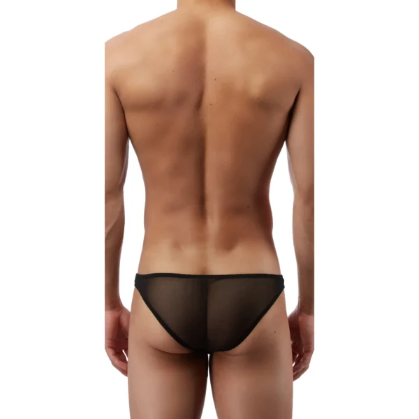 Sexy Men's Seductive Brief Underwear - Image 2