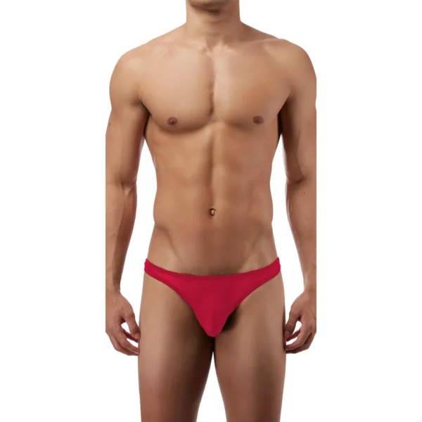 Sexy Men's Seductive Brief Underwear - Image 3