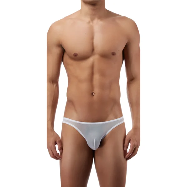 Sexy Men's Seductive Brief Underwear - Image 4