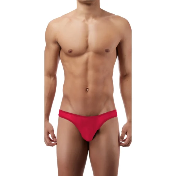 Sexy Men's Seductive Thong Underwear - Image 3