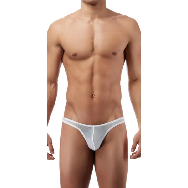Sexy Men's Seductive Thong Underwear - Image 4