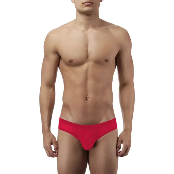 Sexy Men's Seductive Brief Underwear - Image 3