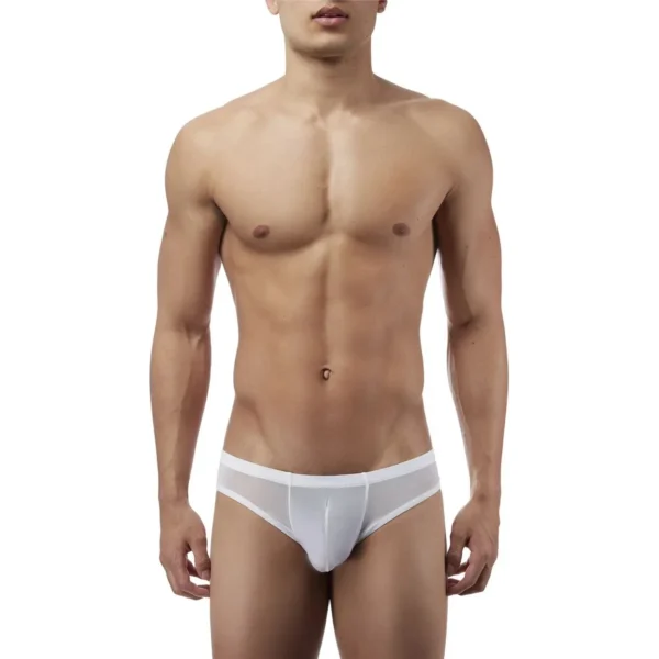 Sexy Men's Seductive Brief Underwear - Image 4