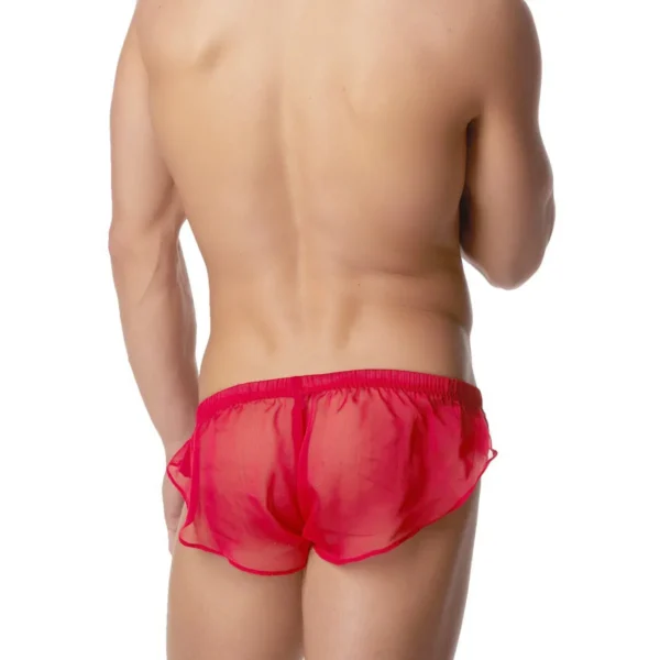 Men's Sexy Boxer Underwear Seductive Style - Image 4