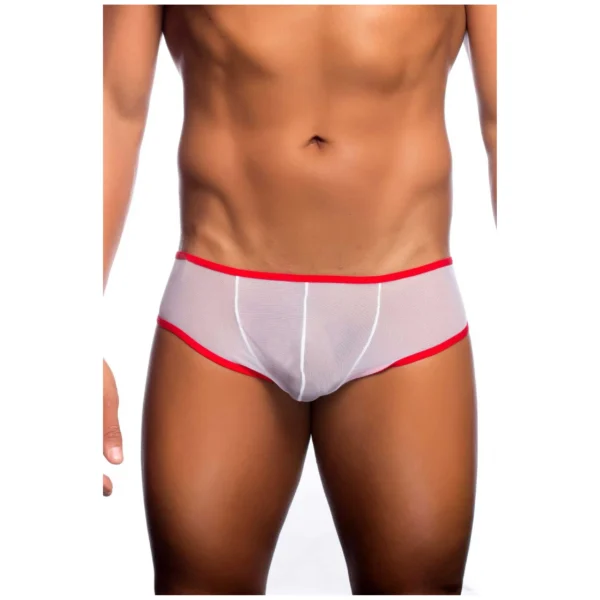 Sexy Men's Seductive Brief Underwear - Image 4