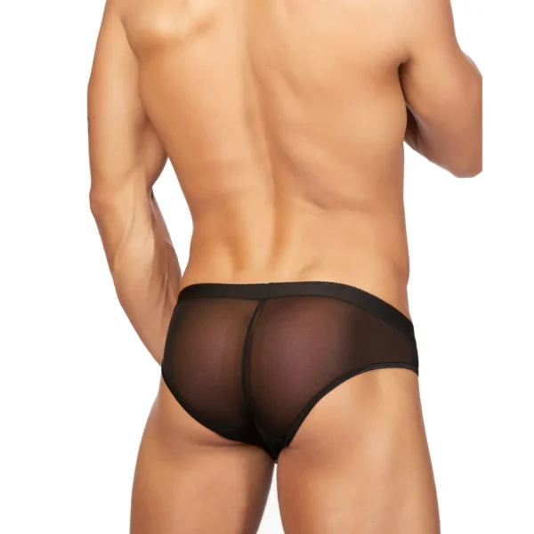 Sexy Men's Seductive Brief Underwear - Image 2
