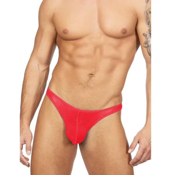 Sexy Men's Seductive Brief Underwear - Image 4
