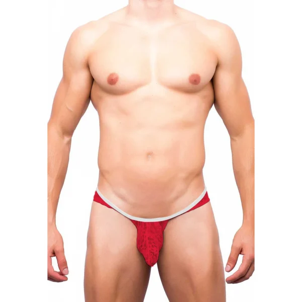 Sexy Men's Seductive Brief Underwear - Image 3