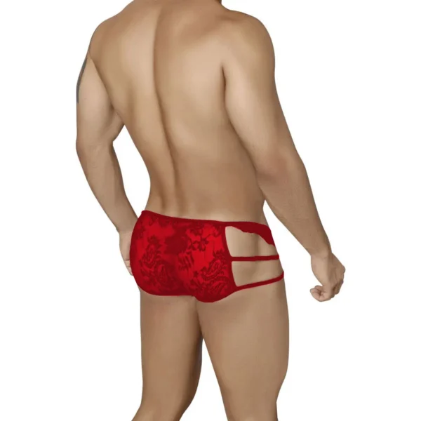 Men's Sexy Brief Fashion Underwear - Image 4