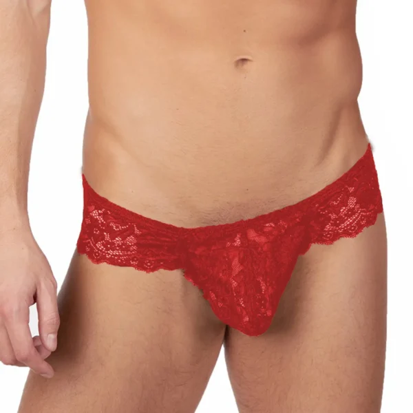 Sexy Men's Seductive Brief Underwear - Image 4