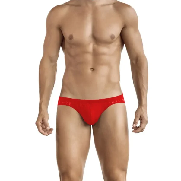 Men's Lace Embroidered Brief Regular Underwear - Image 4