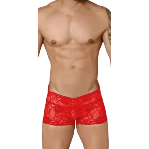 Men's Sexy Boxer Underwear Seductive Style