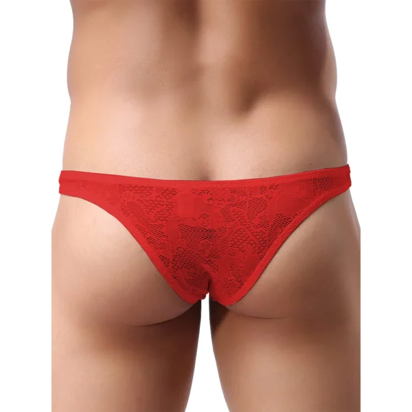 Sexy Men's Seductive Brief Underwear - Image 2