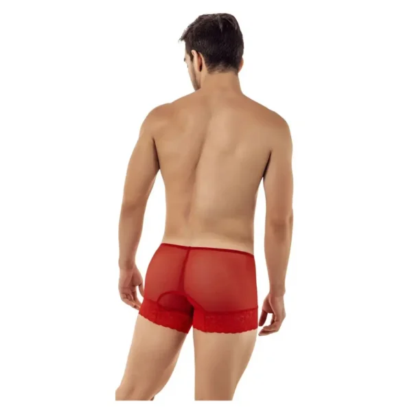 Men's Down Lace Seductive Boxer Underwear - Image 2