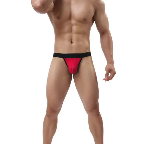 Sexy Men's Bikini Underwear for Seductive Style - Image 4