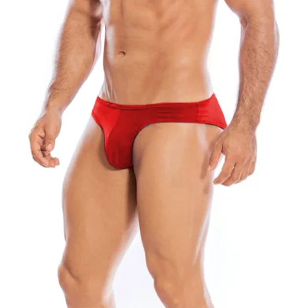 Sexy Men's Seductive Brief Underwear - Image 4