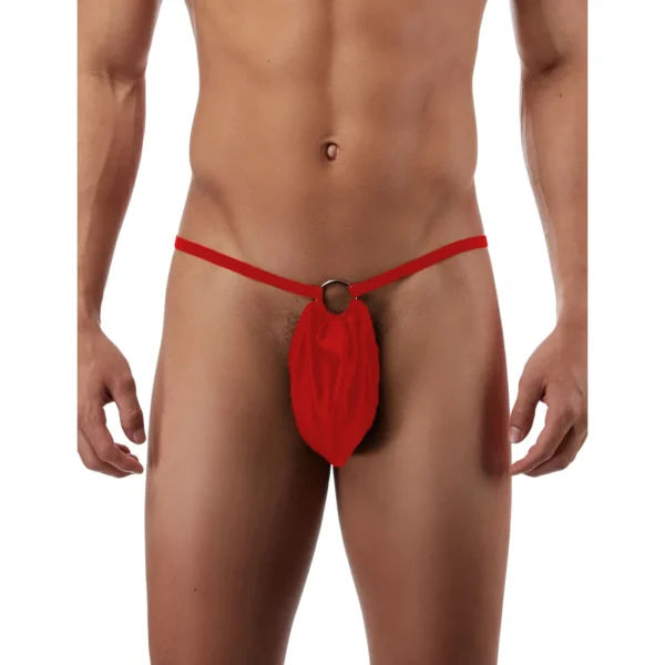 Sexy Men's G-String Underwear - Image 4