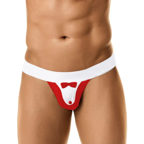 Sexy Men's Seductive Costume Underwear - Image 3