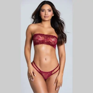 Sexy Beautiful Sheer Lace Tube Lingerie Set